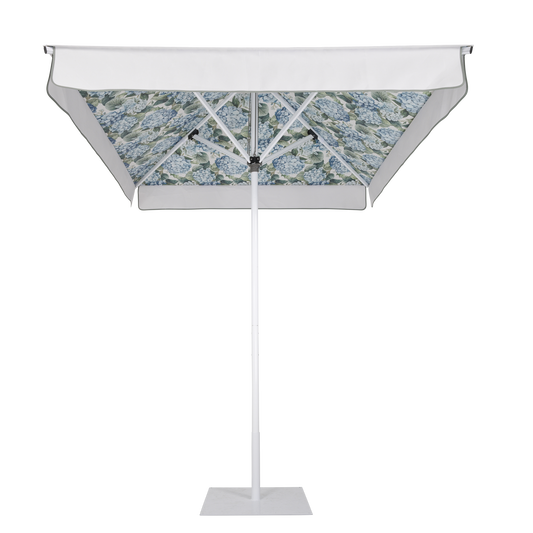 OPC The Mornington Blue Hydrangeas Lining at Angle